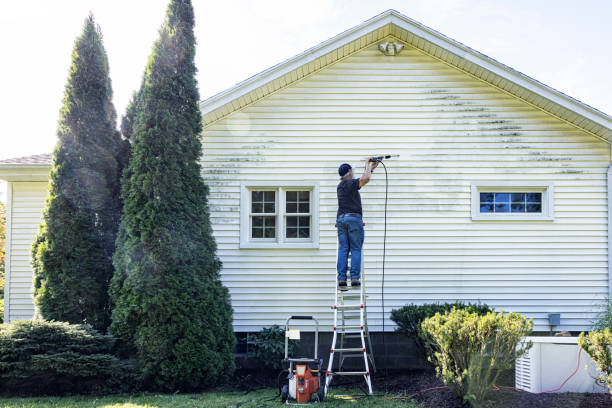 Best Fence Pressure Washing  in Mayo, FL
