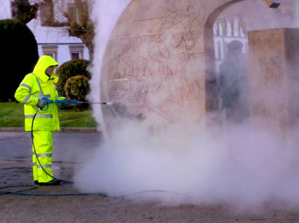 Best Best Pressure Washing Companies  in Mayo, FL