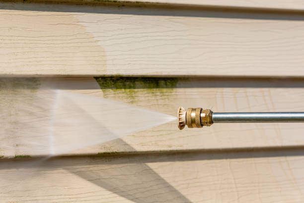 Best Roof Power Washing Services  in Mayo, FL