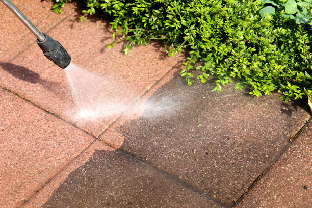 Why Choose Our Certified Pressure Washing Experts for Your Project Needs in Mayo, FL?