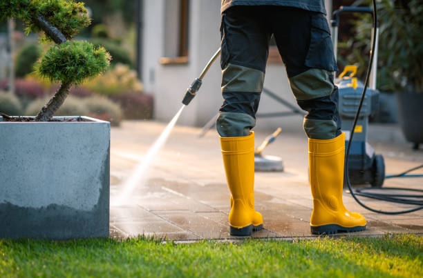 Best Power Washing Near Me  in Mayo, FL